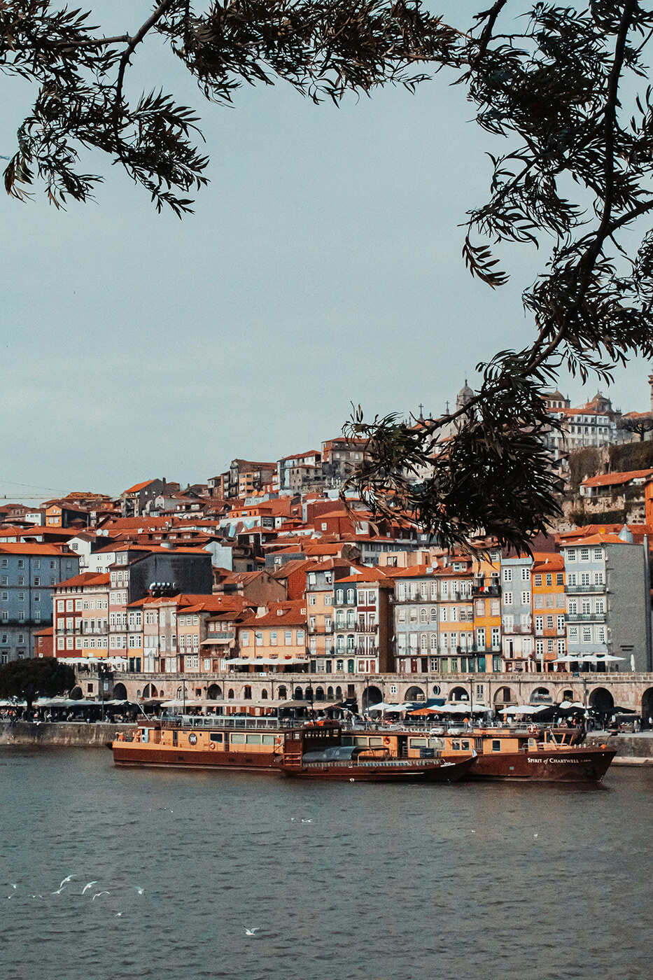 Historische Häuser mit bunten Fassaden entlang des Douro-Flusses in Porto.