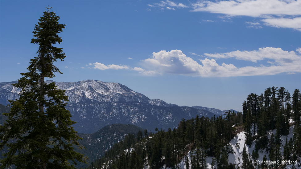 6,5-Stufen Dual I.S. 2