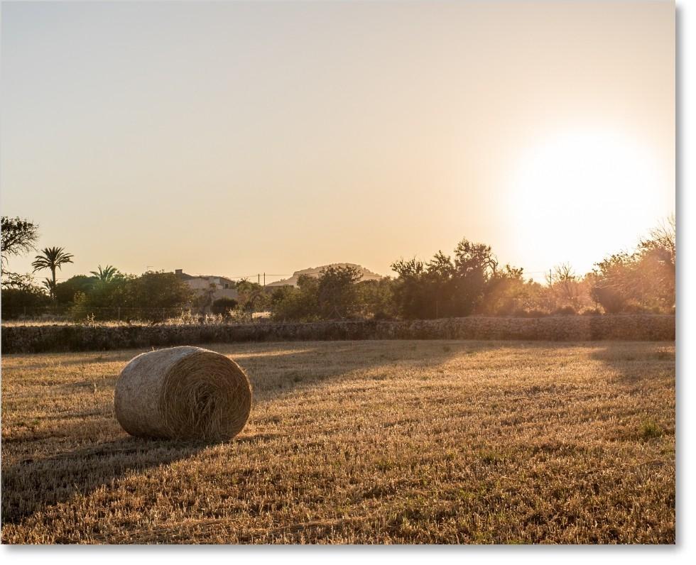 Herausragende Bildergebnisse auch bei schwierigen Lichtsituationen