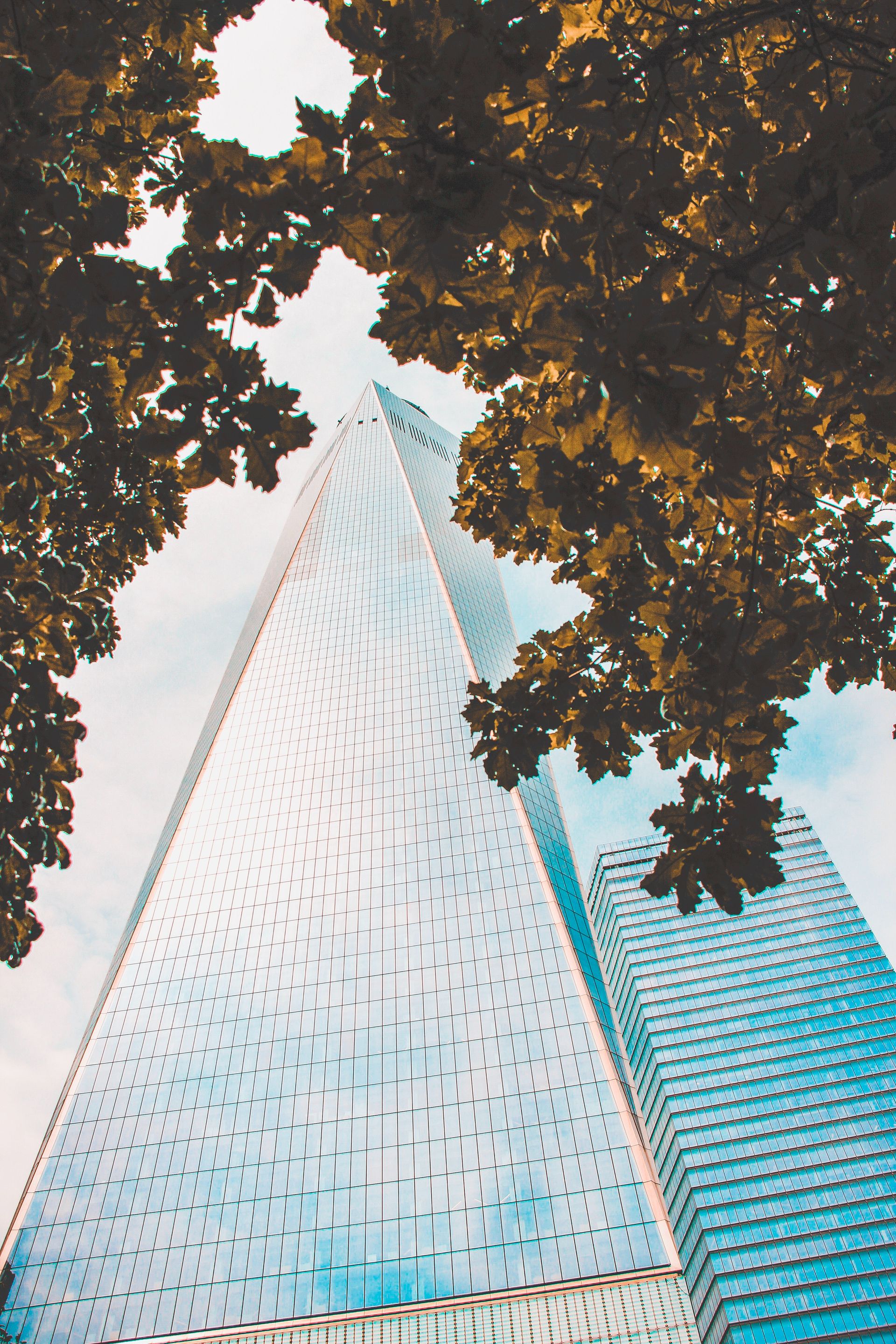 Low angle image of a building with some tree branches