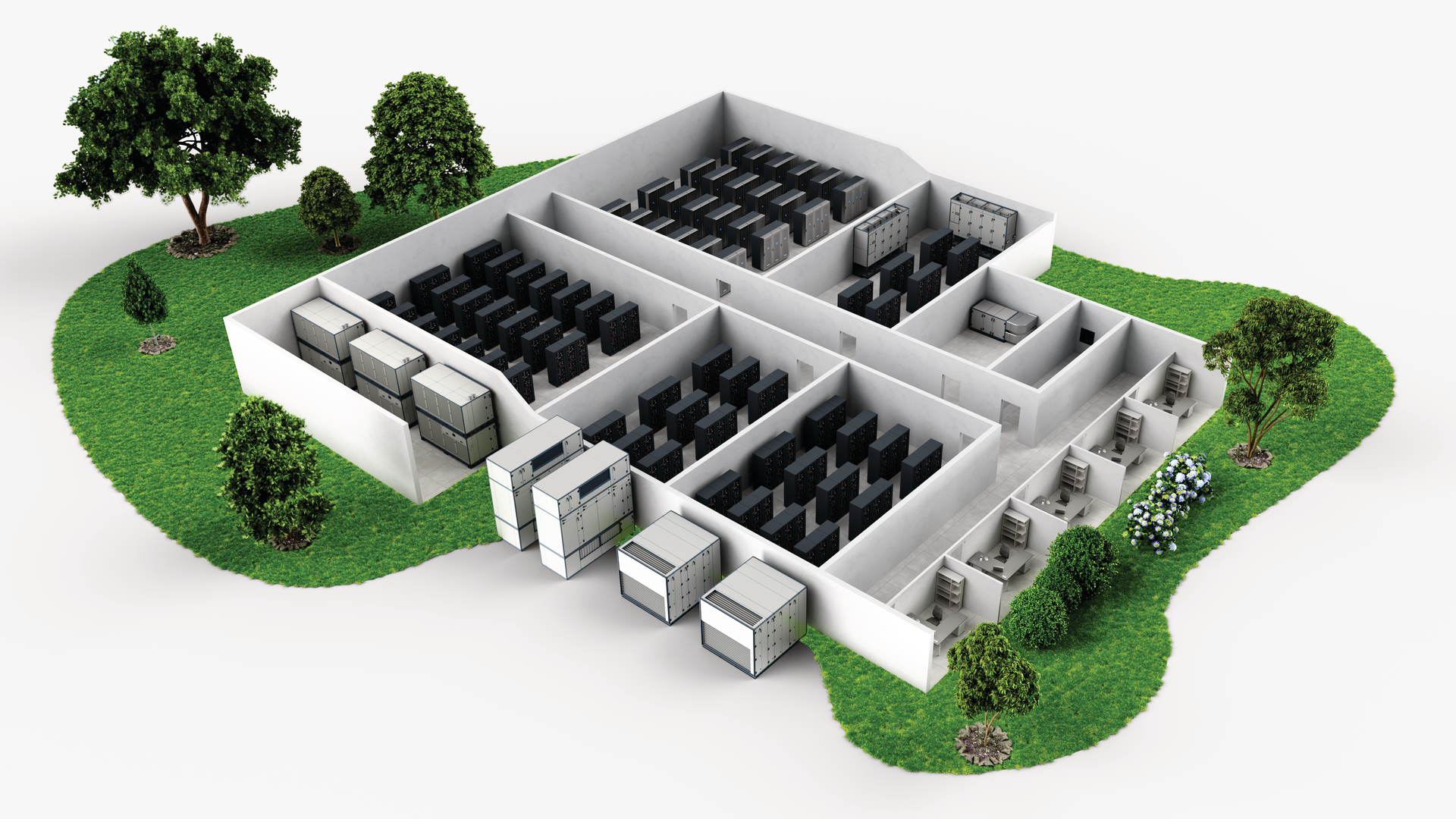 0003 Dcc Solutions Green
