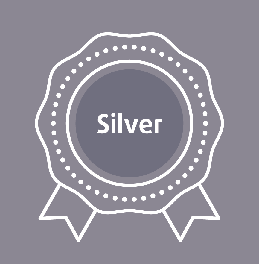 Pack Service Silver