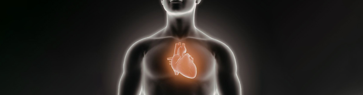 Bij angina pectoris krijgt het hart tijdelijk te weinig zuurstof, wat een hartkramp veroorzaakt.