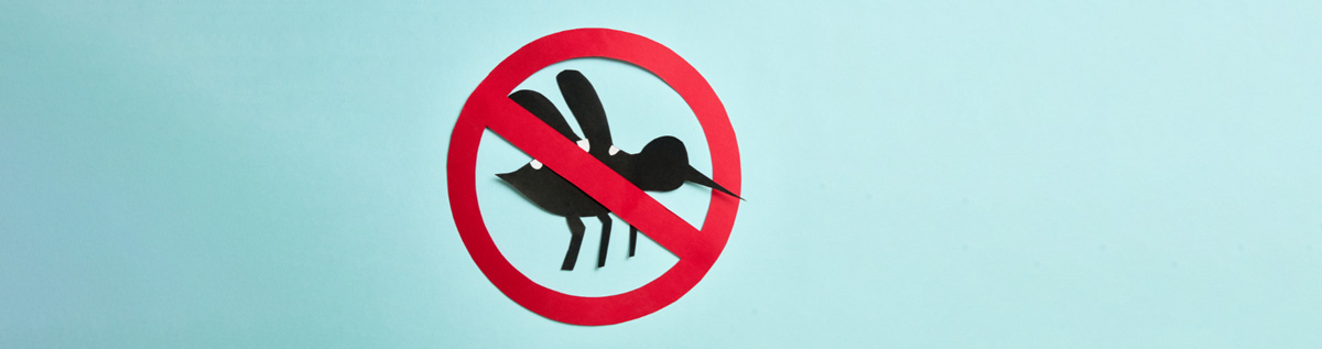 Met de juiste maatregelen en malariapillen zoals doxycycline, lariam en malarone bescherm jij je tegen malaria.