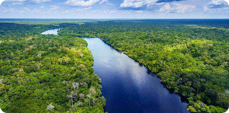 Malaria profylaxe is de verzamelnaam voor malariapillen die je inneemt om malaria te voorkomen in hoge risicogebieden.