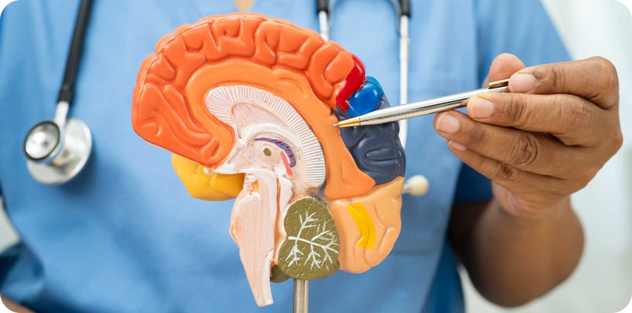 Alzheimer ontstaat door veranderingen in de hersencellen