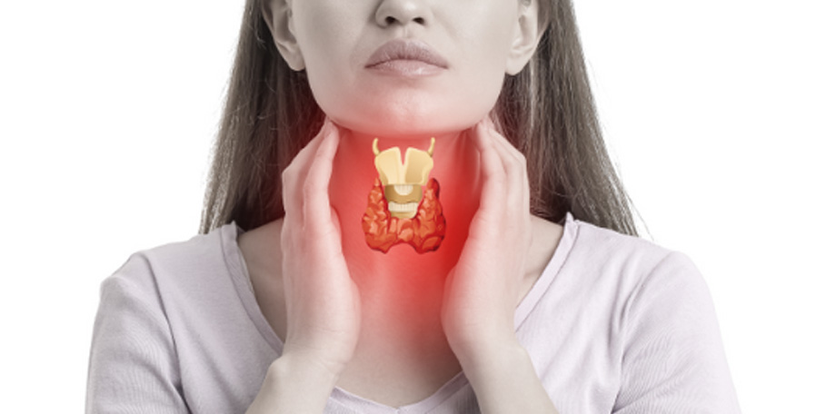 SchildkierNL zet zich in voor iedereen met een schildklier- of bijschildklieraandoening in Nederland en biedt betrouwbare informatie en advies.