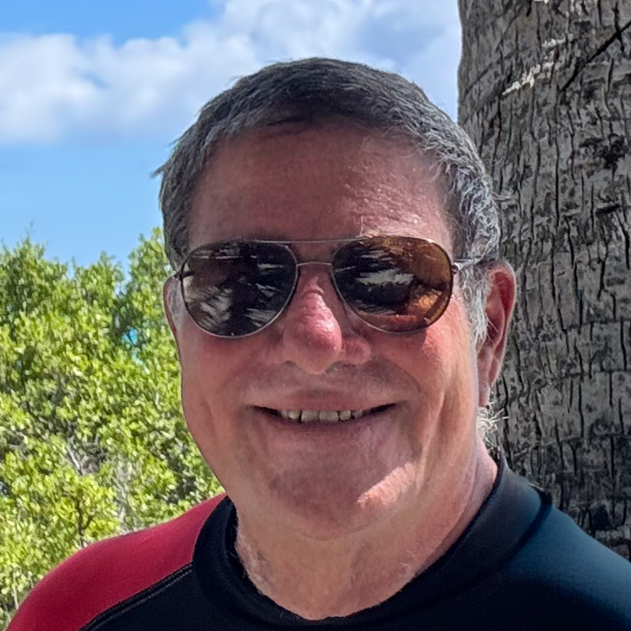 Article author