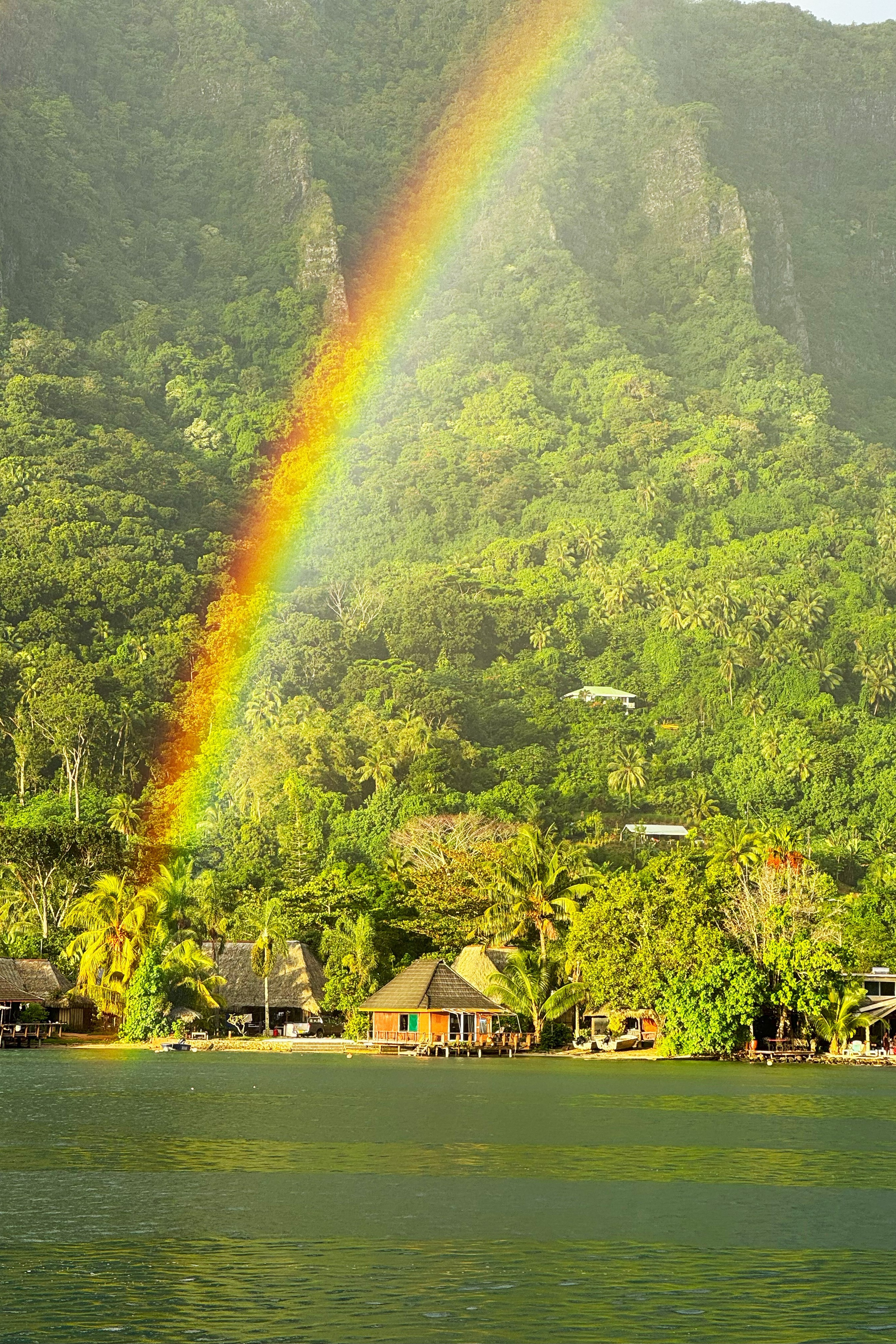 A vibrant rainbow arches over lush green mountains of Mo'orea isalnd and a tropical shoreline with huts by the water.