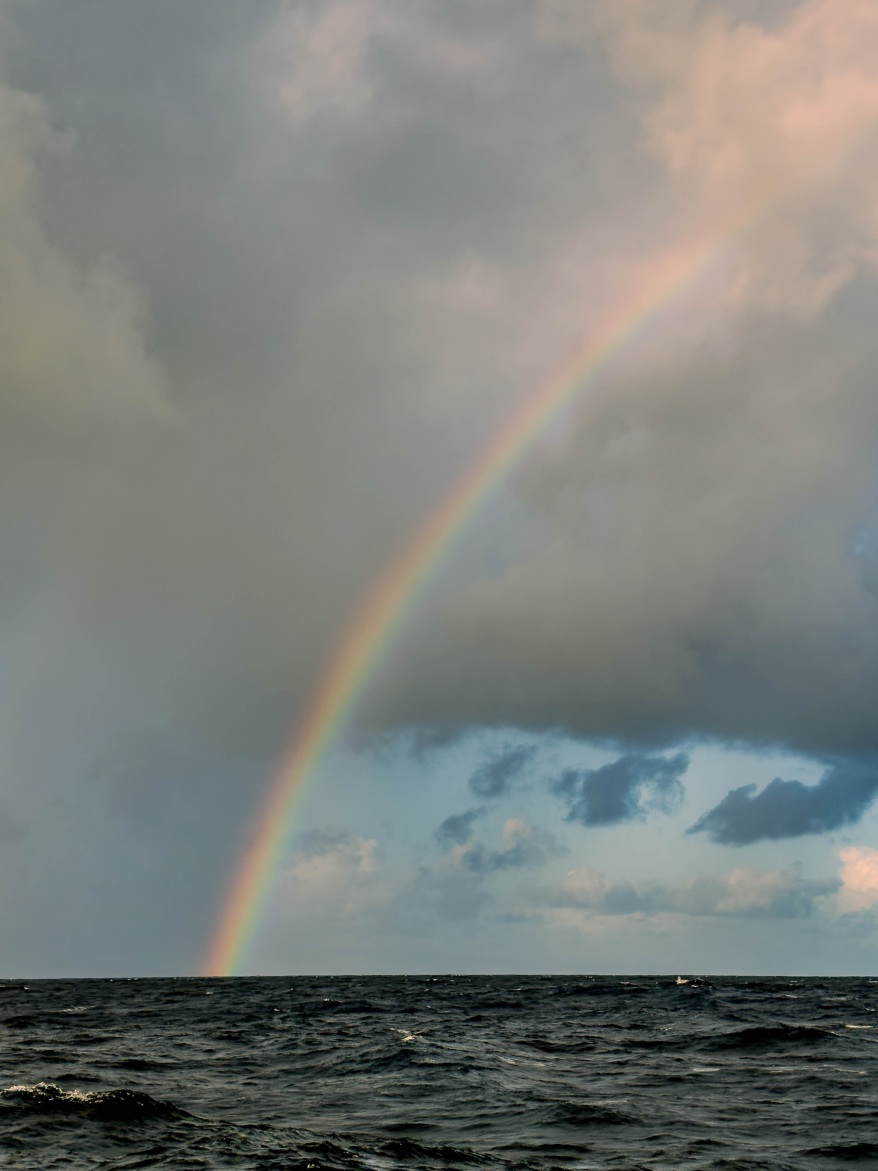 ToDo: add alt text meta field