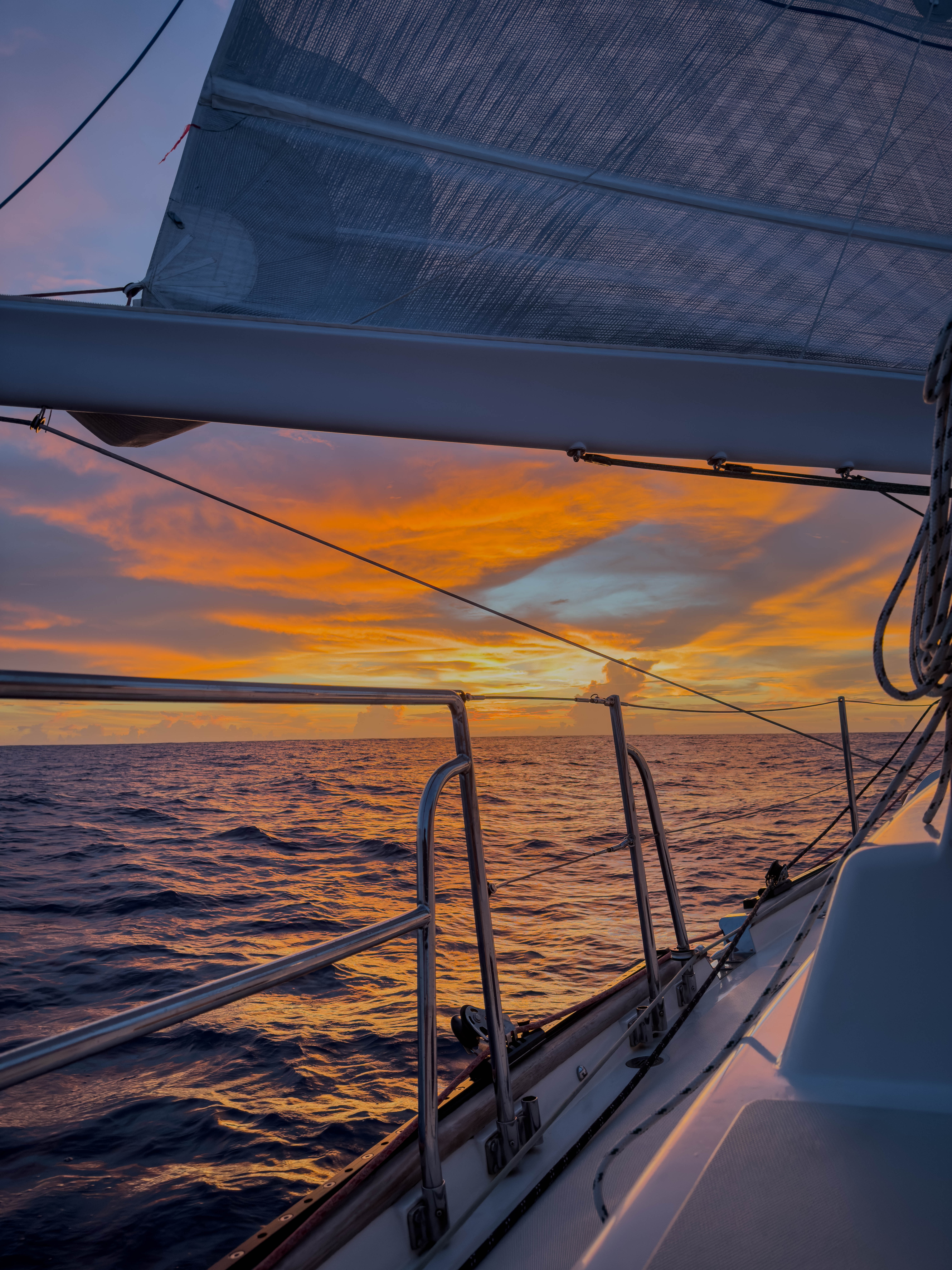 ToDo: add alt text meta field