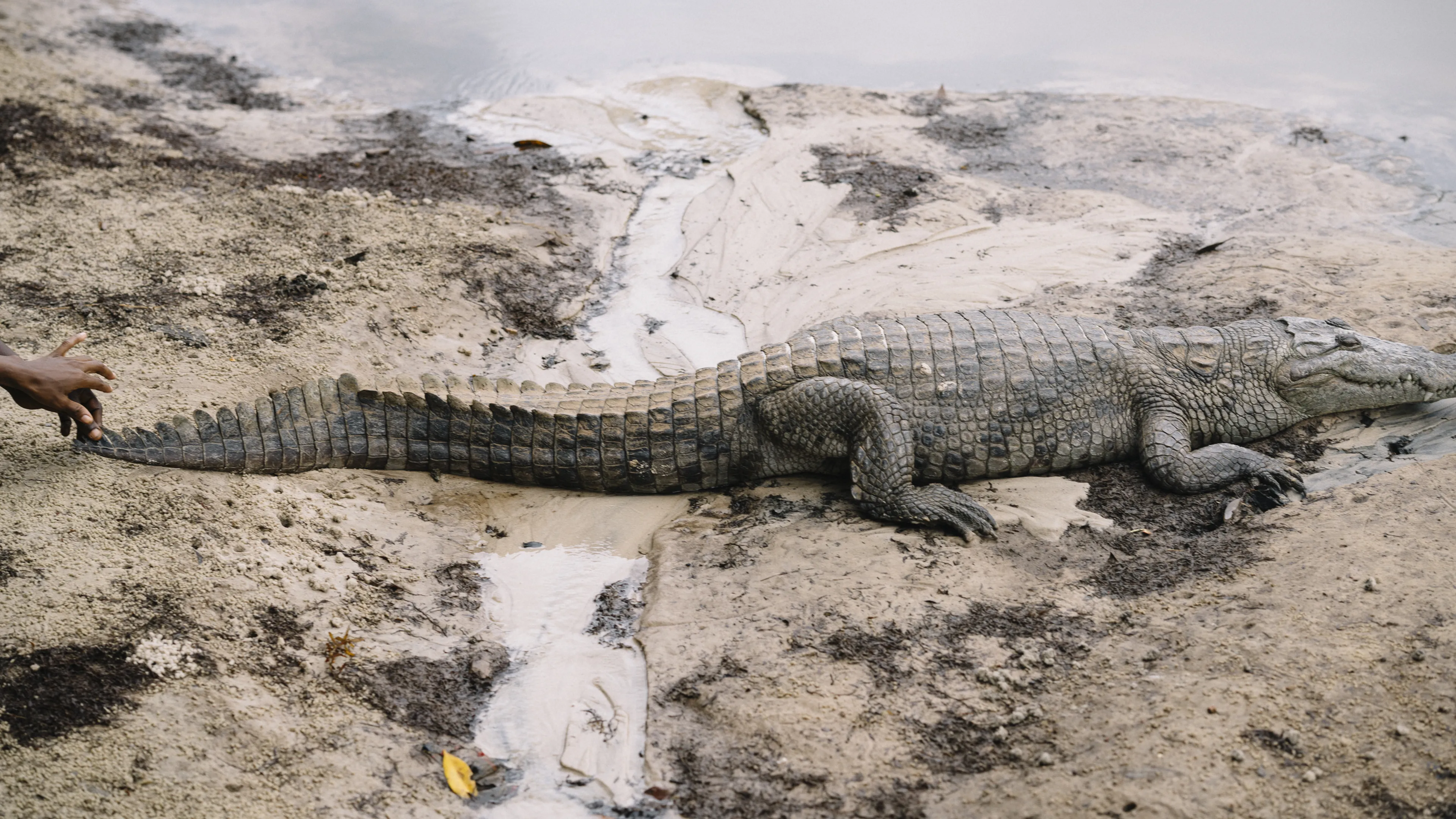 Microcredits Sound Great.