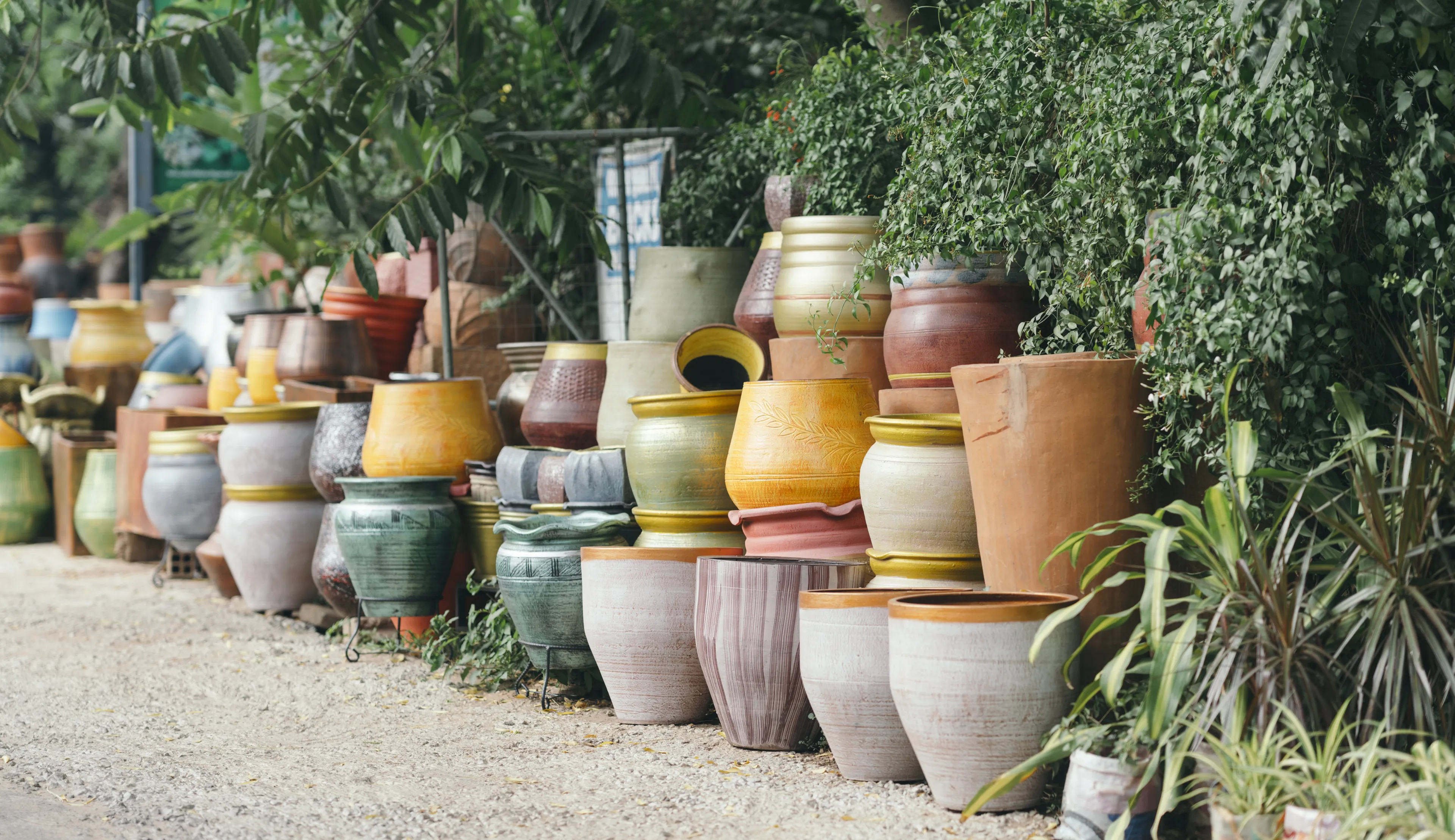 Rows of colorful ceramic pots of various sizes and shapes lined up on a gravel path, surrounded by lush green foliage.