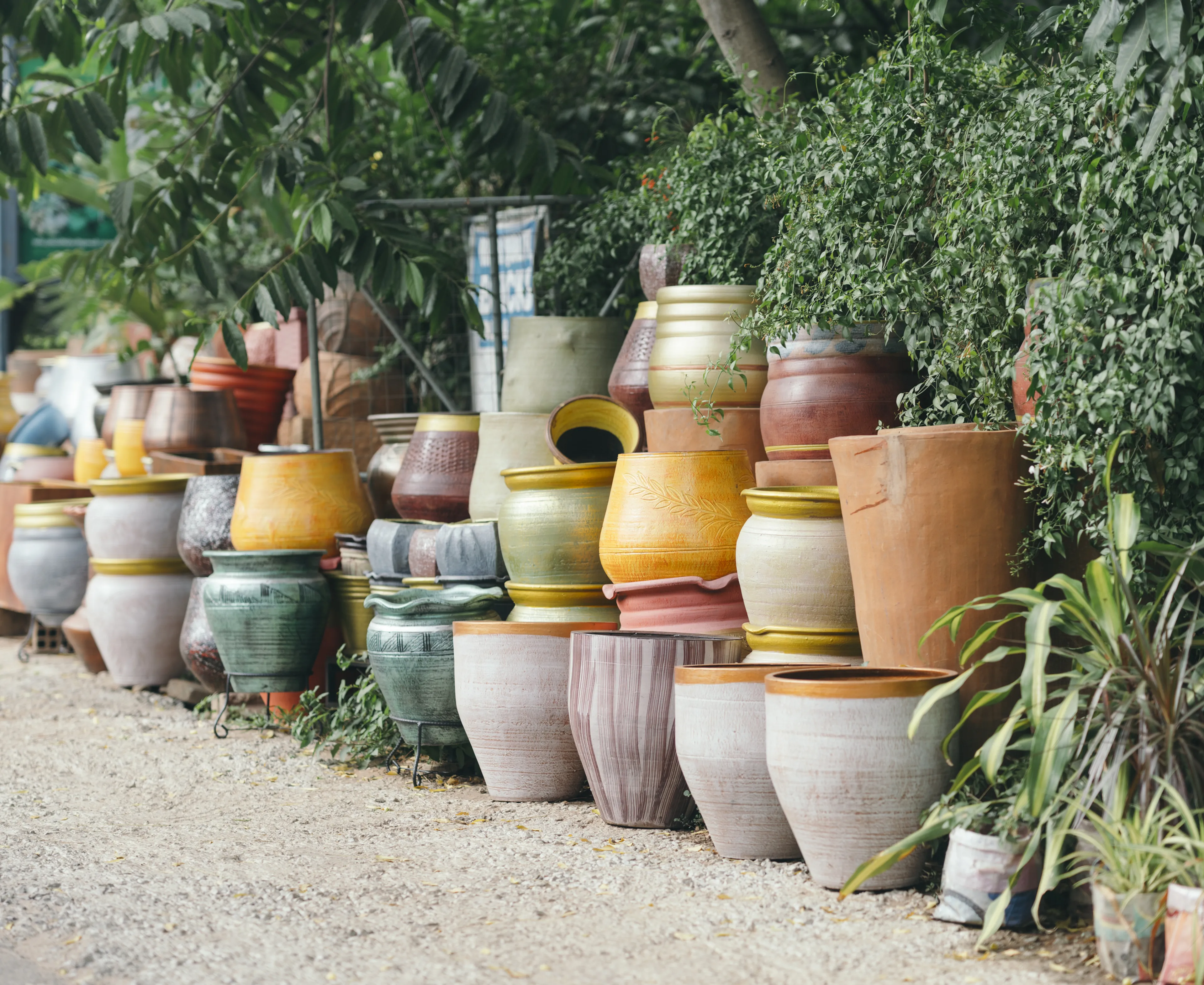 Rows of colorful ceramic pots of various sizes and shapes lined up on a gravel path, surrounded by lush green foliage.