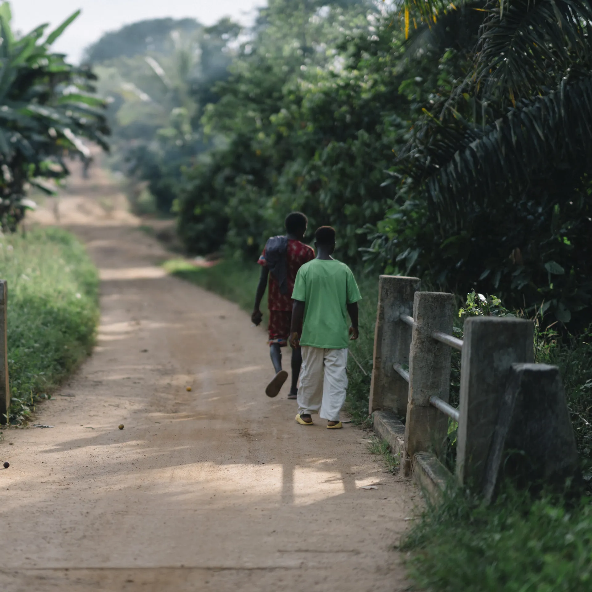 Two people walking down a dirt path surrounded by lush green foliage and concrete fences.