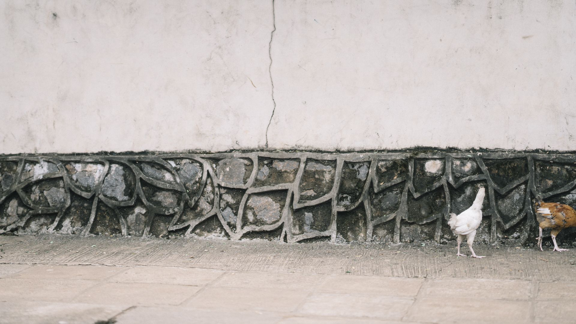 Onboarding as an SI Volunteer