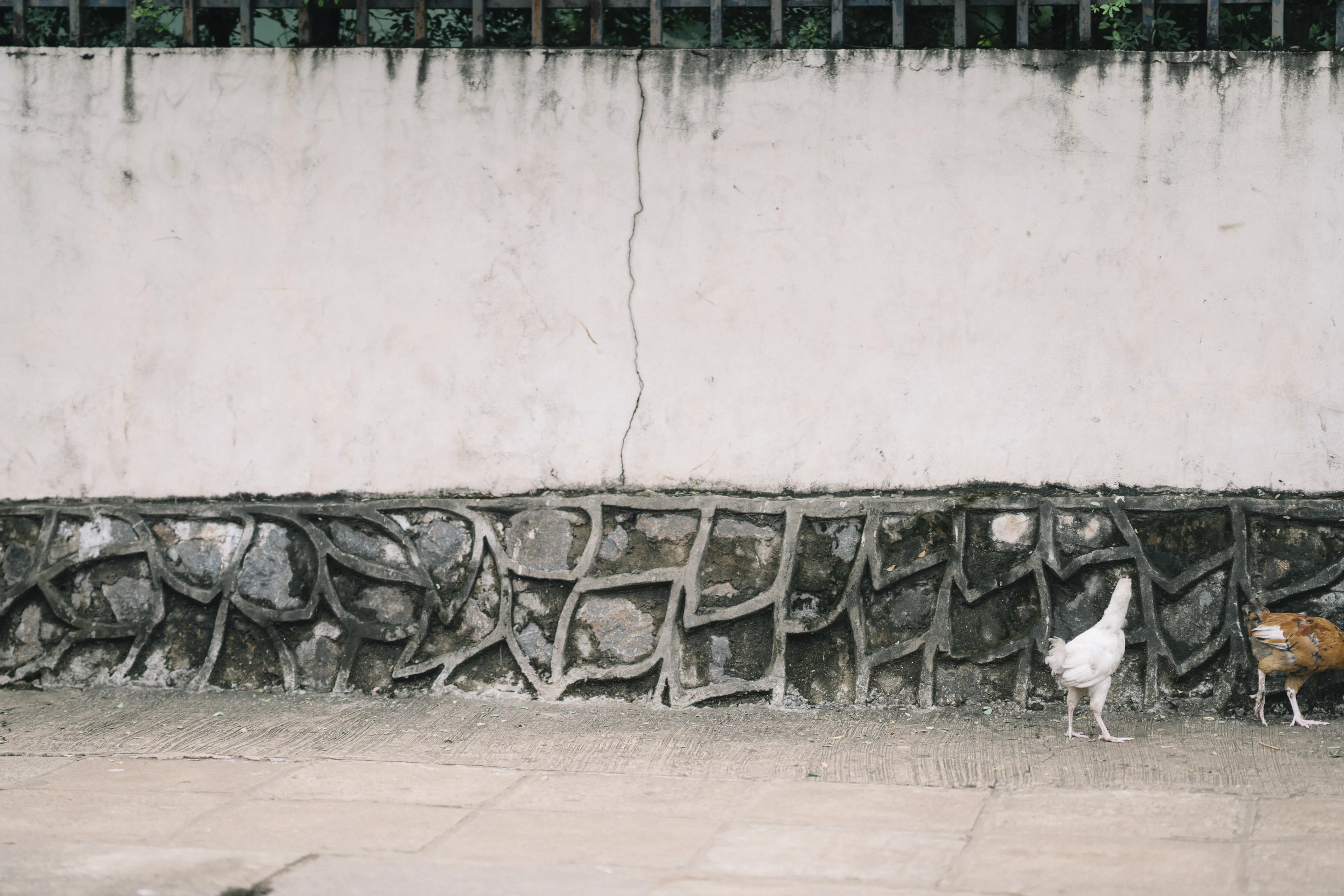 Onboarding as an SI Volunteer