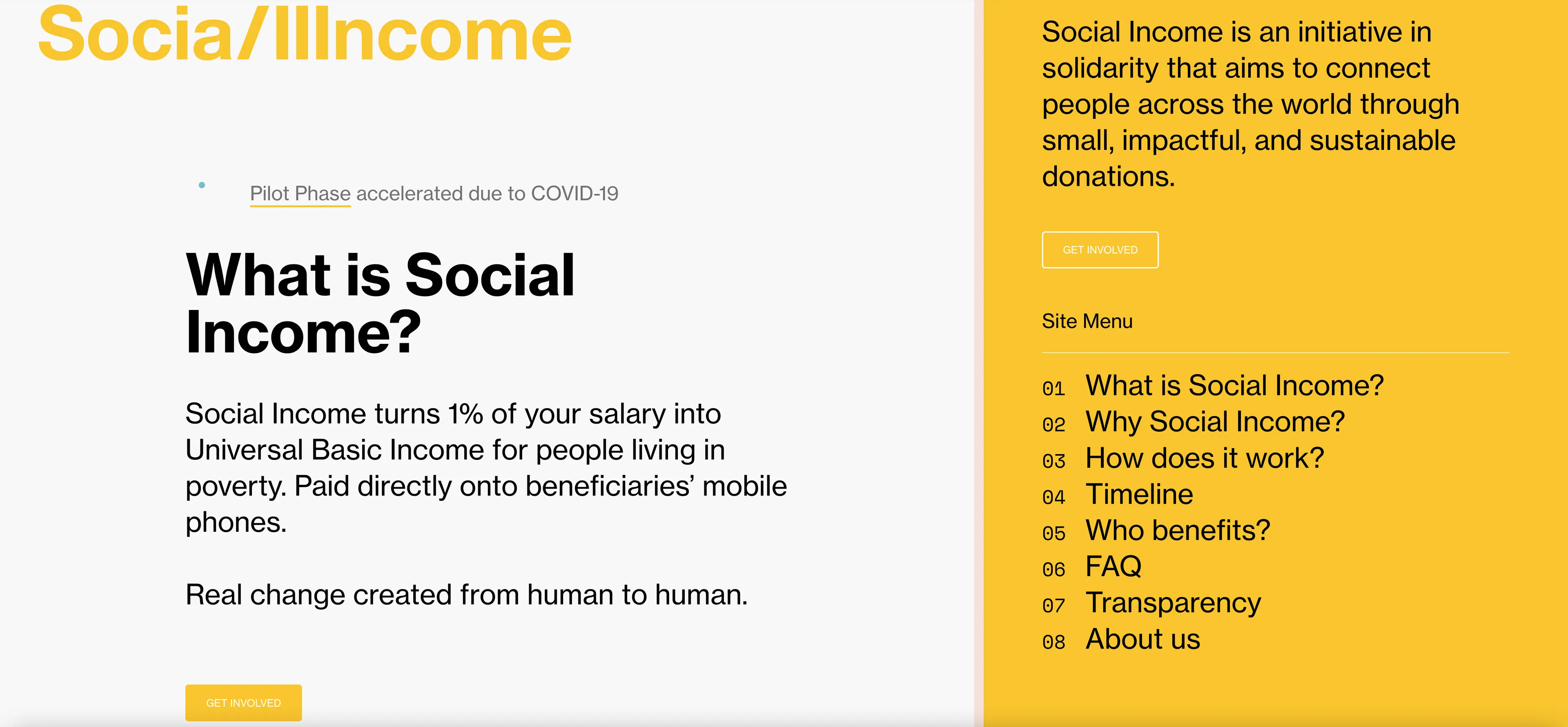 Screenshot of Social Income website in March 2020