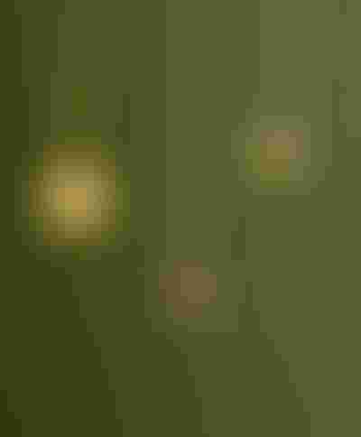 Engravable Jewellery