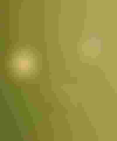 Engravable jewellery