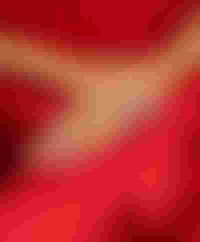 Festive season jewellery