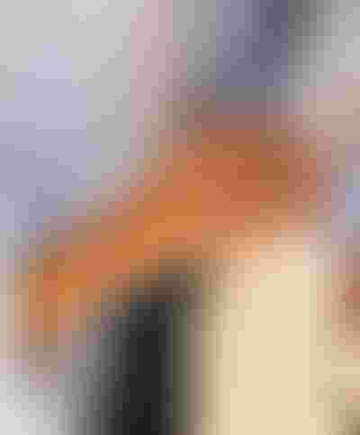 Spring essentials jewellery