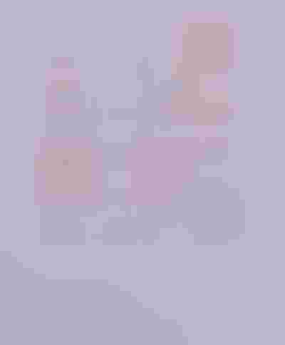 Sparkle spring collection