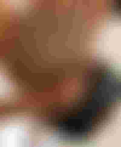 Spring essentials jewellery