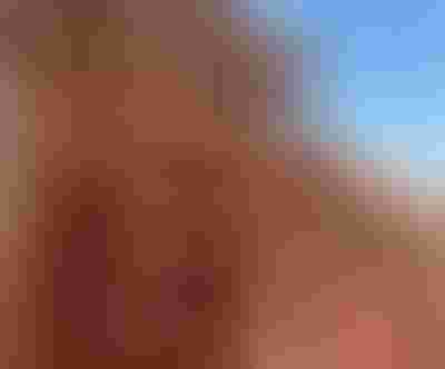 double knot ring gold and pearl necklace