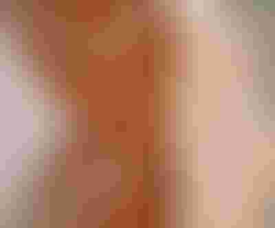 Spring essentials jewellery