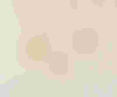 gold necklaces, engravable