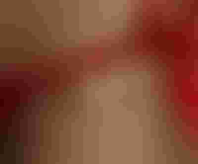 cherry charm, sun charm and pearl charm