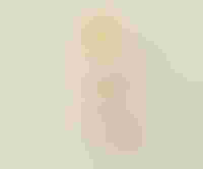 gold rings with clear and coloured stones