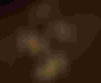 twisted gold earrings