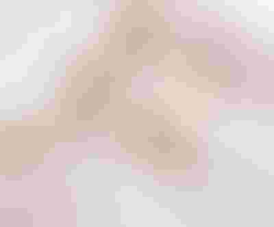 sparkling gold jewellery