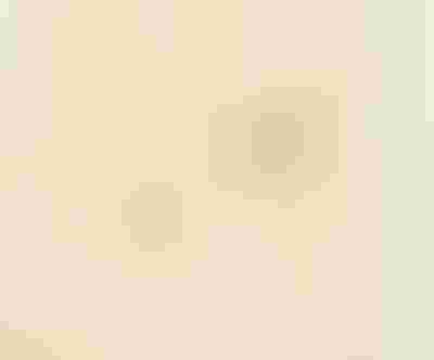 sparkling gold jewellery