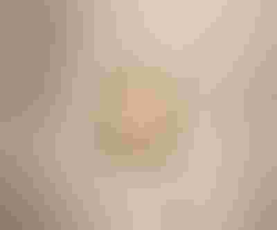 gold rings, high shine and with sparkling stones