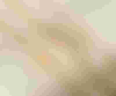 engravable bracelets gold