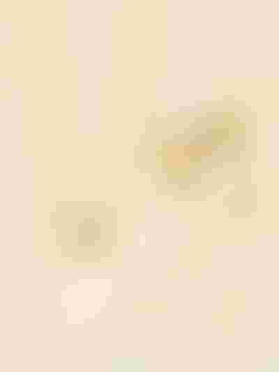 sparkling gold jewellery