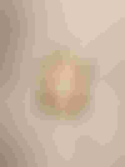 sparkling and high shine, gold rings