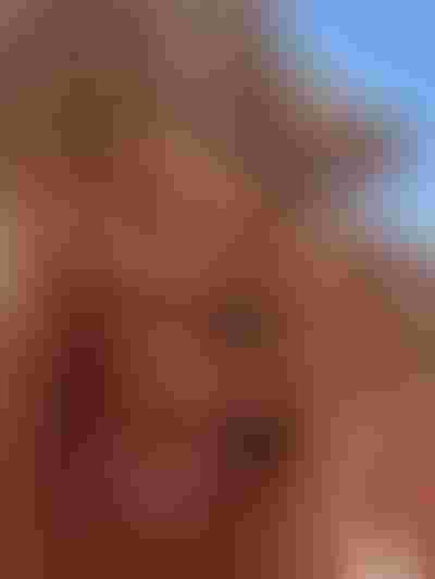 double knot ring gold, pearl necklace