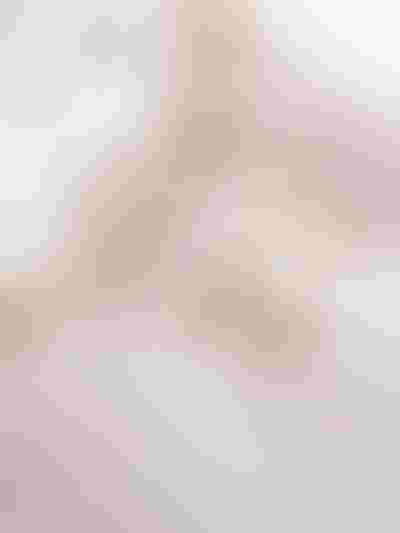 Jewellery gift guide