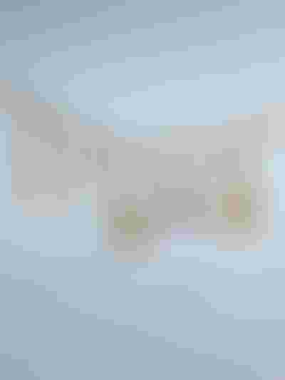 gold charms on necklace, red heart