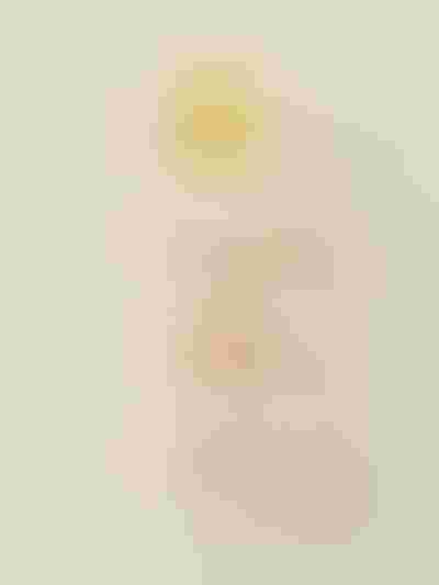 gold rings with clear and coloured stones