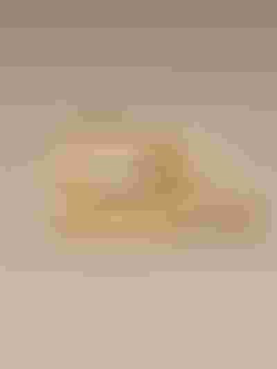 gold rings