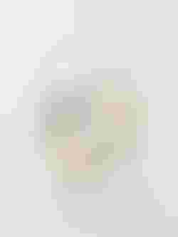 engravable gold ring