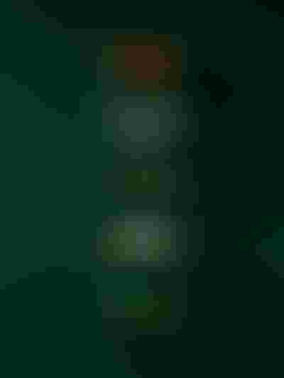 gold rings, red, crystal, emerald green stones