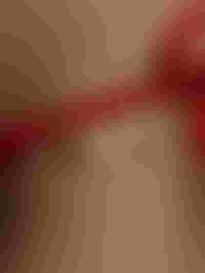 cherry charm, dun charm, pearl charm