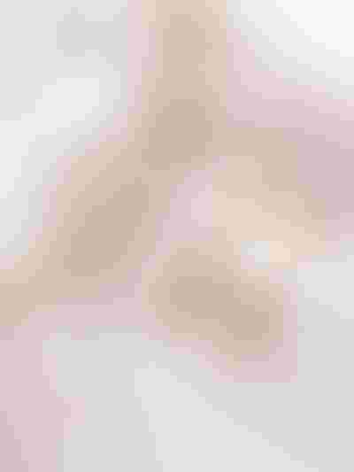 sparkling gold jewellery