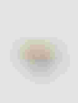 ring with stone
